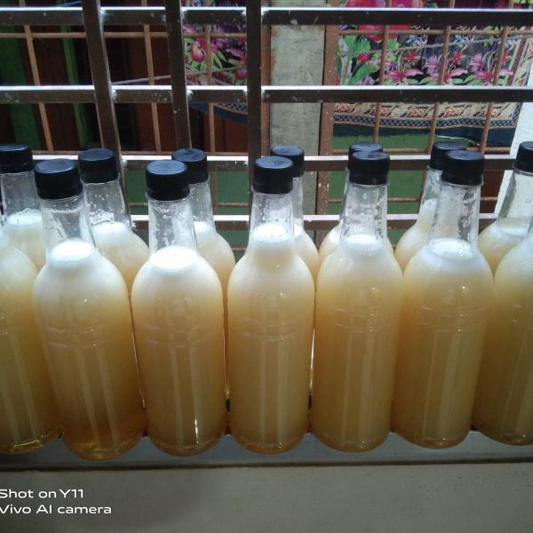 সুন্দরবনের মিক্সট ফুলের মধু