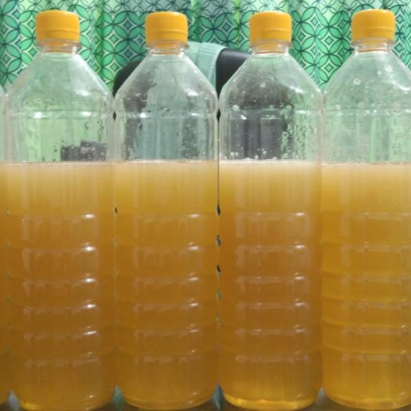 মিষ্টি কুমড়া ফুলের মধু